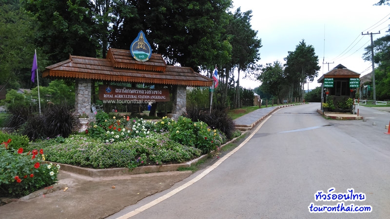 The Royal Agricultural Station Angkhang