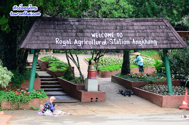 Ang Khang Royal Agricultural Station,สถานีเกษตรหลวงอ่างขาง เชียงใหม่