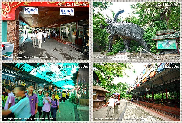 Samutprakarn Crocodile Farm and Zoo,ฟาร์มจระเข้ และสวนสัตว์สมุทรปราการ