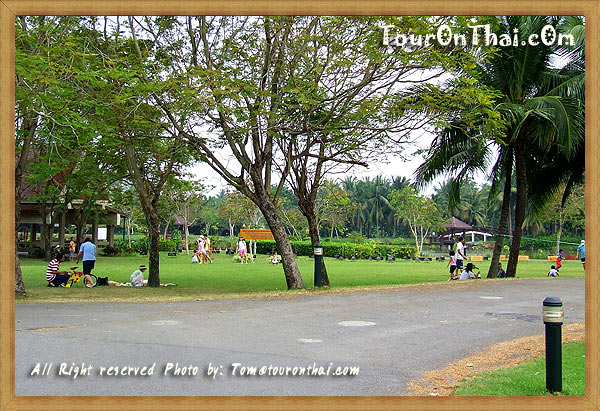 Sri Nakhon Khuean Khan Park And Botanical Garden,สวนศรีนครเขื่อนขันธ์ สมุทรปราการ