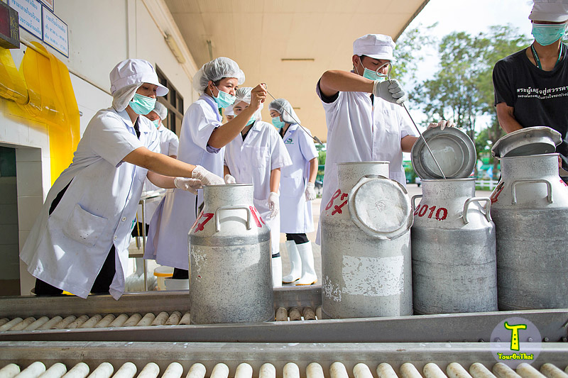 Wang Nam Yen Dairy Cooperative