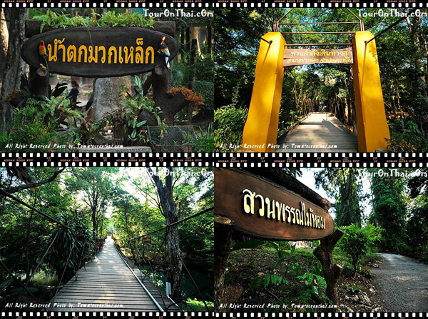 Muak Lek Botanical Garden and Waterfall