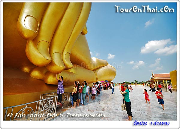 Wat Muang, Ang Thong,วัดม่วง อ่างทอง