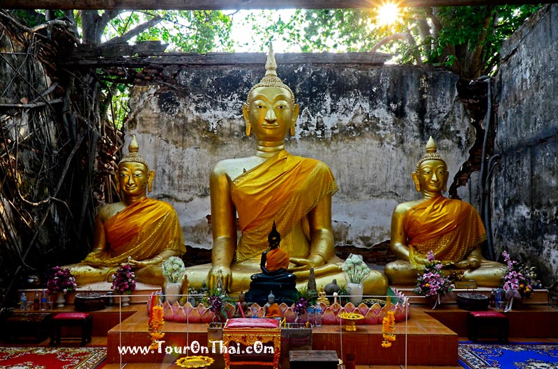 Wat Sang Kratai,วัดสังกระต่าย(โบสถ์ปรกโพธิ์) อ่างทอง
