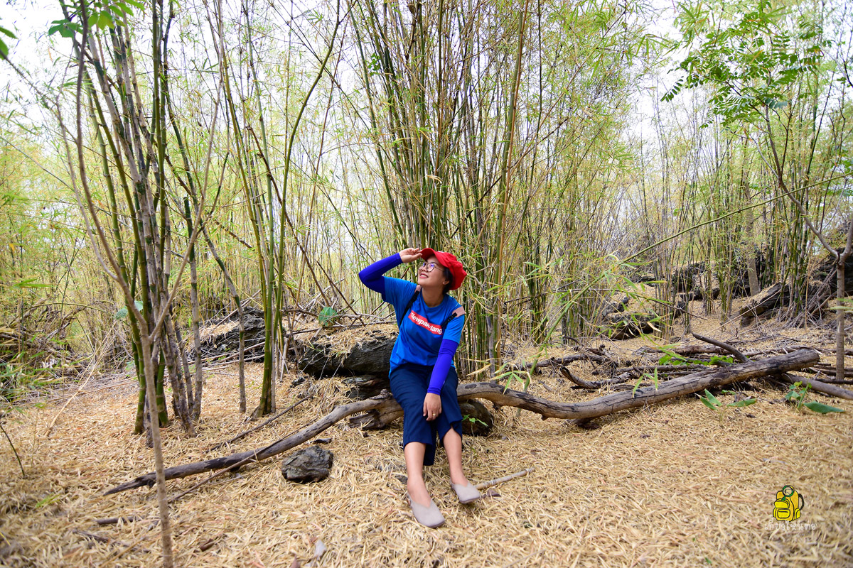 Phu Hang Nak Stone Park,พุหางนาค ป่าแห่งจินตนาการ ผลงานธรรมชาติ 100 ล้านปี