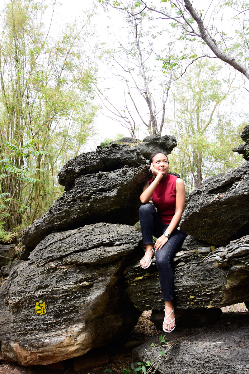Phu Hang Nak Stone Park,พุหางนาค ป่าแห่งจินตนาการ ผลงานธรรมชาติ 100 ล้านปี