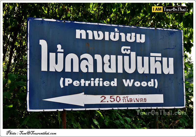 Ban Tak Petrified Wood Forest Park