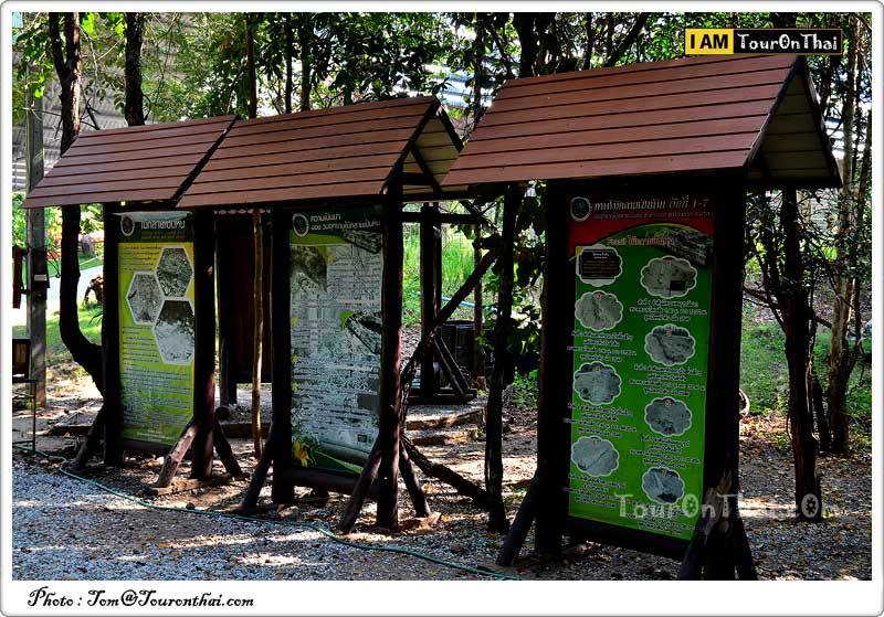 Ban Tak Petrified Wood Forest Park,ฟอสซิลไม้กลายเป็นหิน ตาก