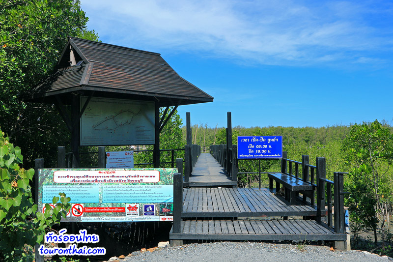 Chonburi Mangrove Conservation Center,ศูนย์ศึกษาธรรมชาติและอนุรักษ์ป่าชายเลนเพื่อการท่องเที่ยวเชิงนิเวศ ชลบุรี