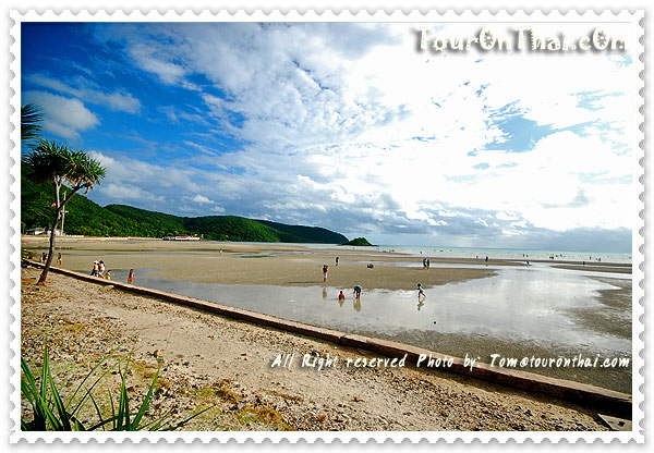 Toei Ngam Beach,หาดเตยงาม ชลบุรี