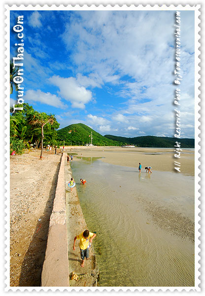 Toei Ngam Beach,หาดเตยงาม ชลบุรี