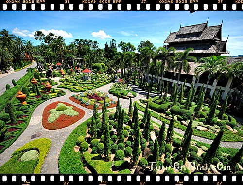 Nong Nooch Tropical Botanical Garden,สวนนงนุช ชลบุรี