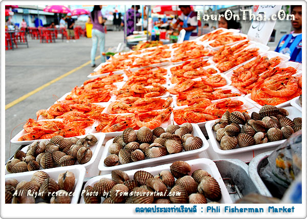 Pli Pier Fisher Market,ตลาดประมงท่าเรือพลี ชลบุรี