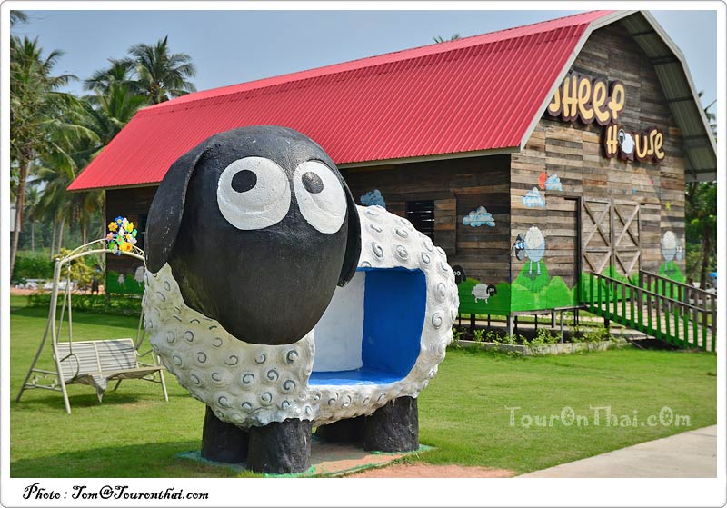 ฟาร์มแกะพัทยา Pattaya Sheep Farm
