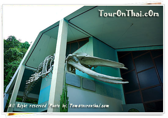 Chonlathasanasathan Museum,ชลทัศนสถาน ชลบุรี