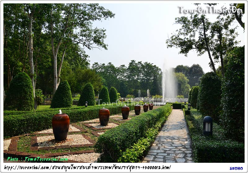 สวนสมุนไพรสมเด็จพระเทพรัตนราชสุดาฯ สยามบรมราชกุมารี ระยอง