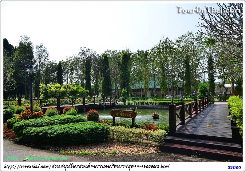 Princess Maha Chakri Sirindhon Herbal Garden,สวนสมุนไพรสมเด็จพระเทพรัตนราชสุดาฯ สยามบรมราชกุมารี ระยอง