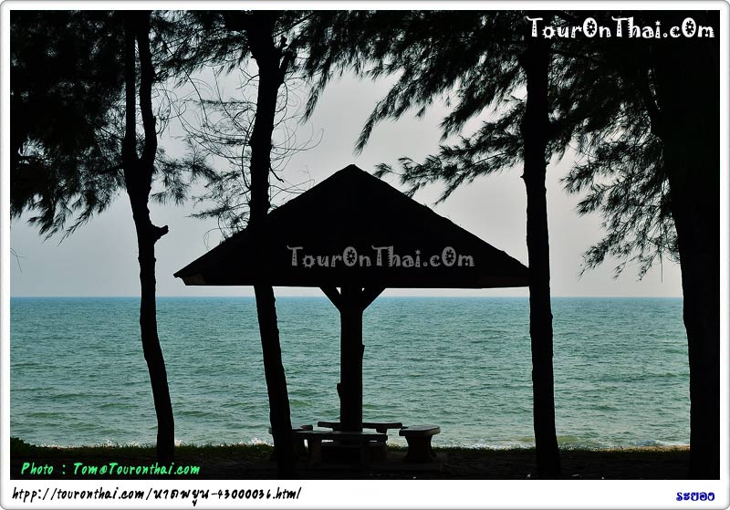 Hat Phayoon,หาดพยูน ระยอง