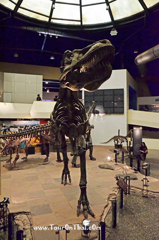 Sirindhorn Museum,พิพิธภัณฑ์สิรินธร กาฬสินธุ์