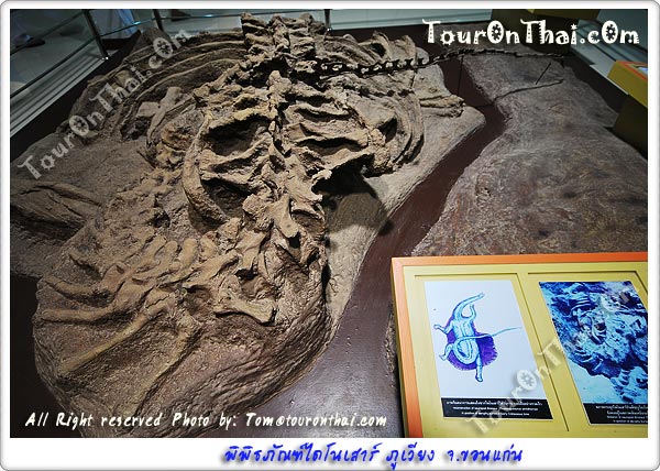  Phuwiang Dinosaur Museum,พิพิธภัณฑ์ไดโนเสาร์ภูเวียง ขอนแก่น