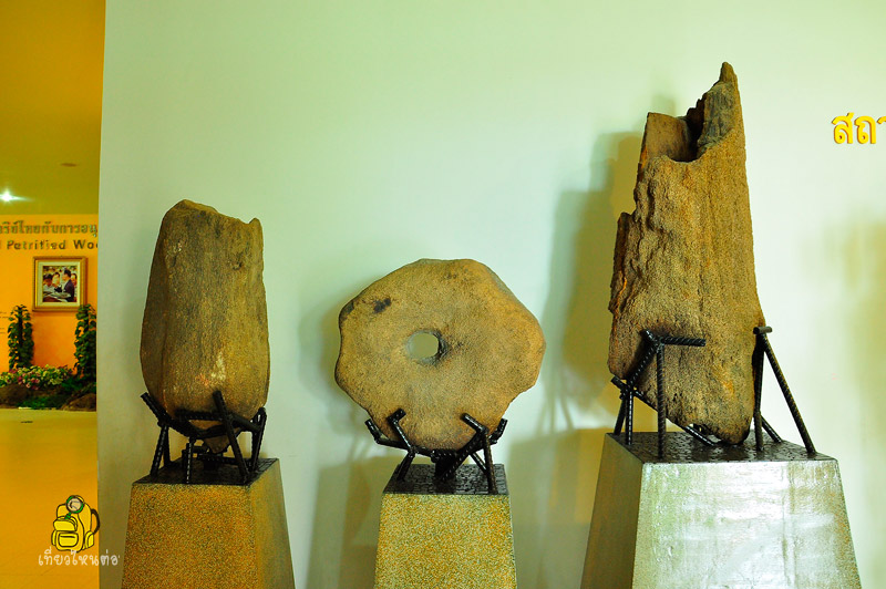 พิพิธภัณฑ์ไม้กลายเป็นหินและทรัพยากรธรณี