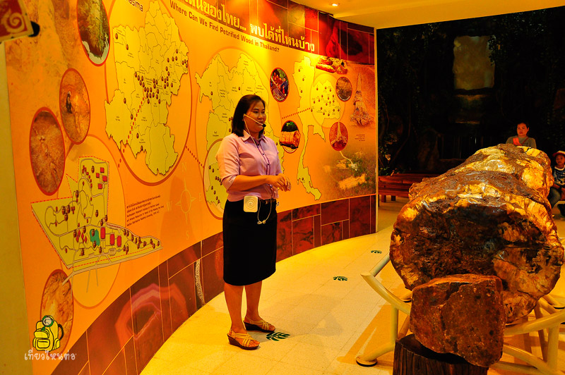 พิพิธภัณฑ์ไม้กลายเป็นหินและทรัพยากรธรณี นครราชสีมา