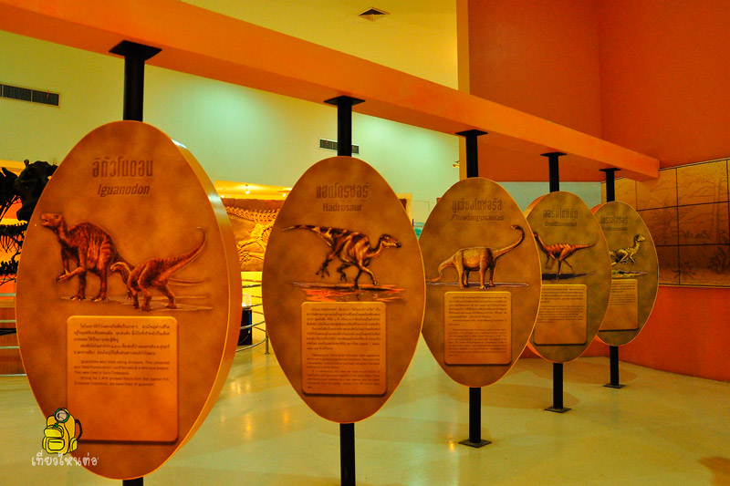 Korat Fossil Museum,พิพิธภัณฑ์ไม้กลายเป็นหินและทรัพยากรธรณี นครราชสีมา