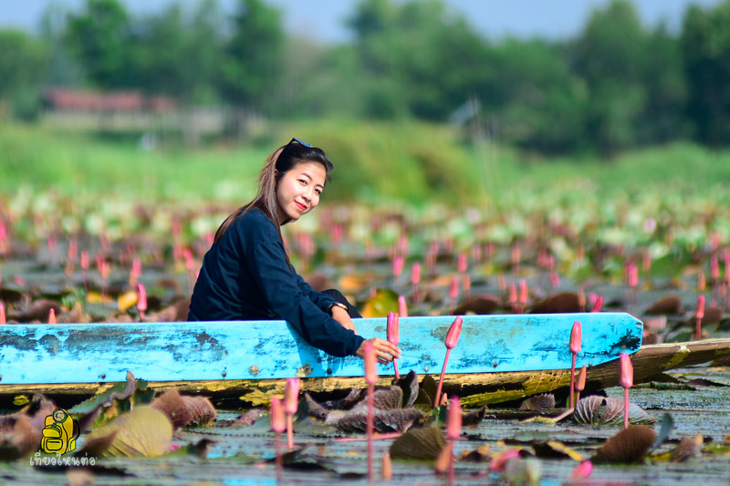 Lake of Red Lotus in Nong Lahan