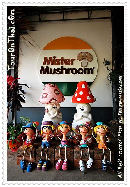 Mister Mushroom,วังน้ำเขียวฟาร์ม (Mr.Mushroom) นครราชสีมา