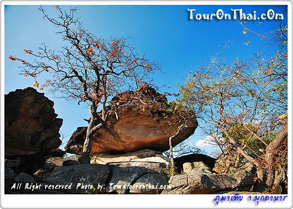 Phu Pha Thoep National Park,อุทยานแห่งชาติภูผาเทิบ มุกดาหาร