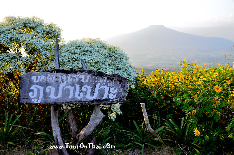 Phu Pa Po (Fuji @ Loei),ภูป่าเปาะ ฟูจิเมืองเลย