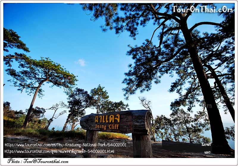 Phu Kradueng National Park,อุทยานแห่งชาติภูกระดึง เลย