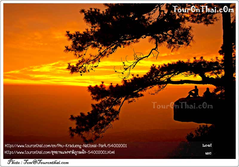 Phu Kradueng National Park,อุทยานแห่งชาติภูกระดึง เลย