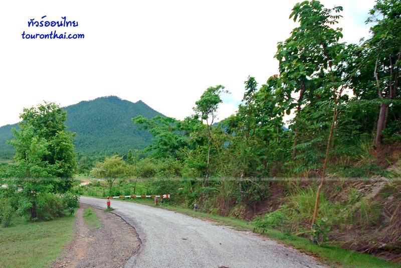 Phu Thok Viewpoint,จุดชมวิวภูทอก เลย