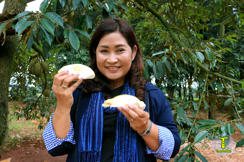 Loong Serm Durian Orchard