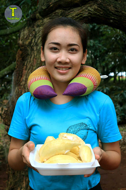 Loong Serm Durian Orchard,สวนลุงเสริม ทุเรียนศรีสะเกษ
