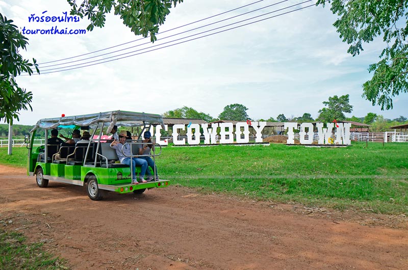 PC Cowboy Town
