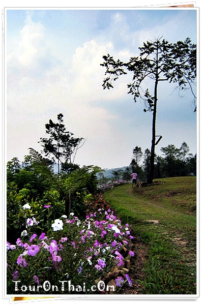 Nunthaburi National Park