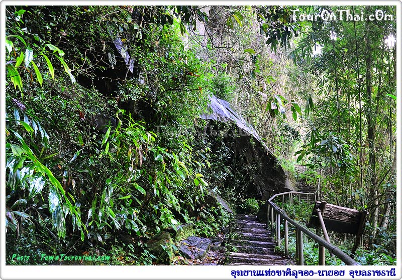 Phu Chong Na Yoi National Park,อุทยานแห่งชาติภูจอง-นายอย อุบลราชธานี