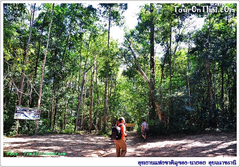 Phu Chong Na Yoi National Park