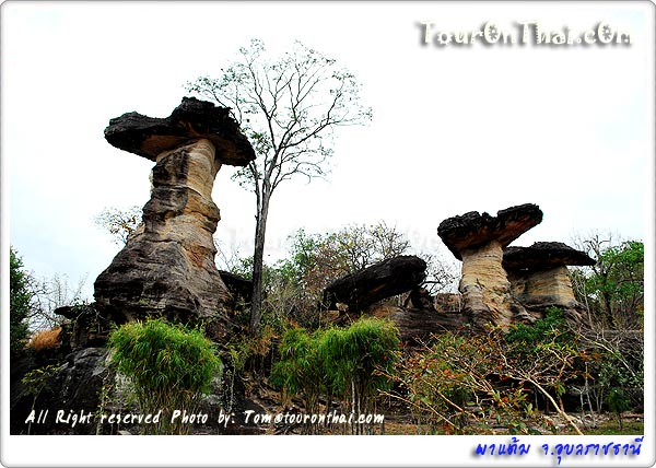 Pha Taem National Park,อุทยานแห่งชาติผาแต้ม อุบลราชธานี