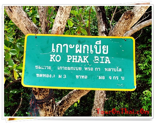 Koh Phak Bia,เกาะผักเบี้ย-เกาะขาม กระบี่