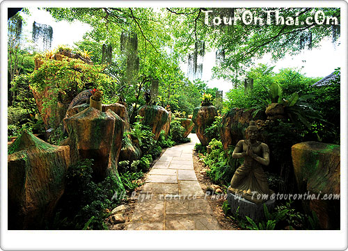 Suan Nai Dam Orchard,สวนนายดำ ชุมพร