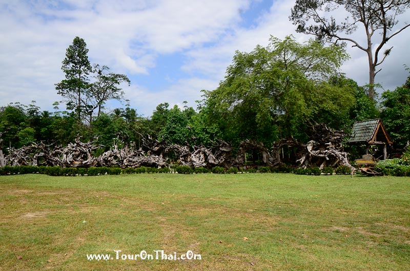 Wang Thep Taro - dragons sculpture from the roots,วังเทพทาโร ตรัง