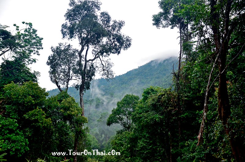 Phu Ta Cho,ภูตาจอ พังงา