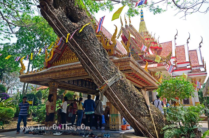 Wat Pha Ko