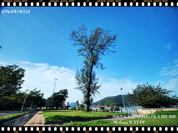 Suan Song Thale Park,สวนสองทะเล สงขลา