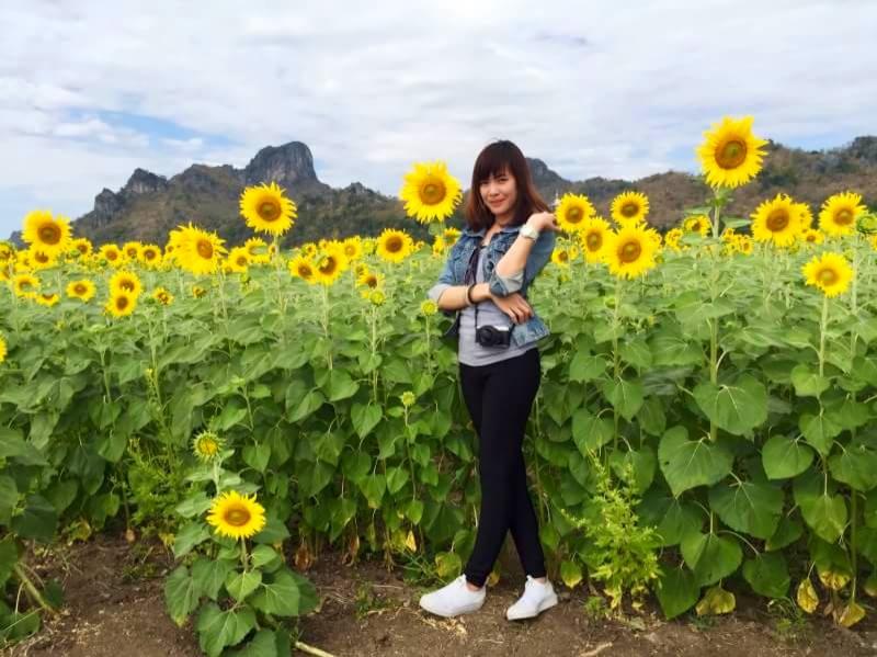 ,Khao Chin Lae Sunflowers Field