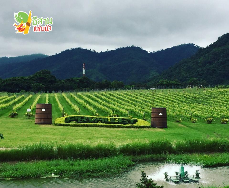,PB Valley Khaoyai Winery