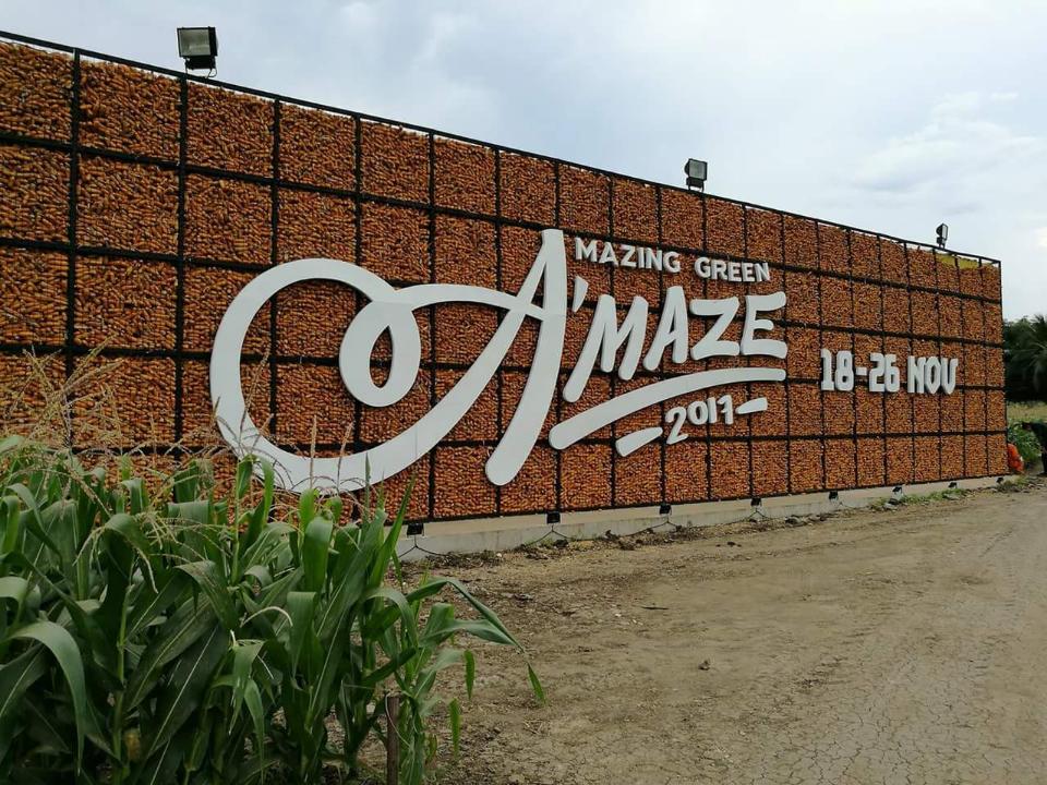 ,A'maze 2017
